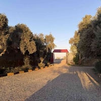 حجوزاتنه برمضان غير تعالو. نورونه حبايب 07715972346