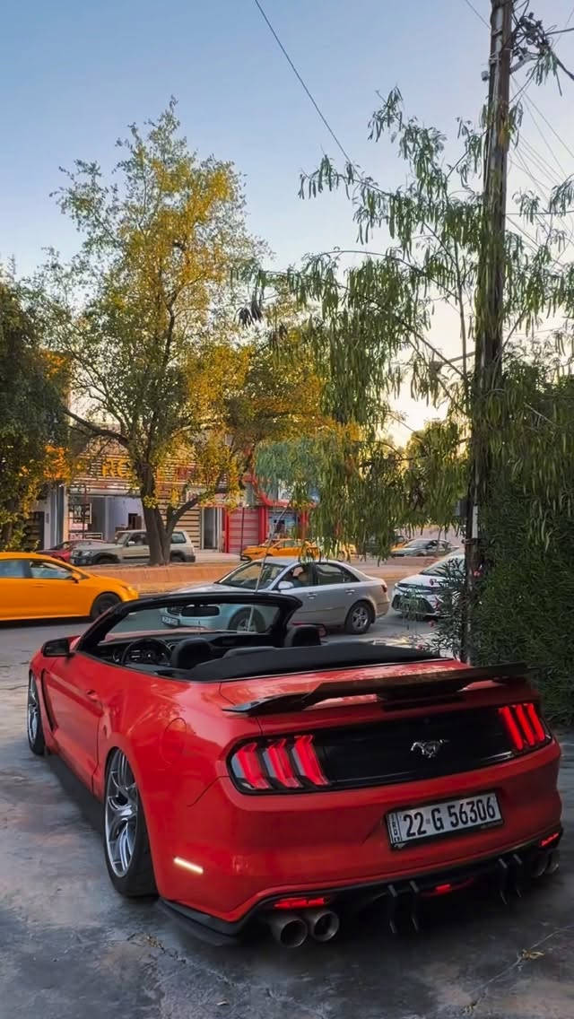 شراي يتصل ***********
