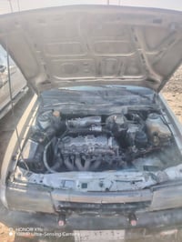 صاحبها متوفي • ١٩٩٢ • النهروان