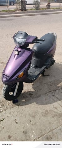 فراشه • فحل • جاهزه