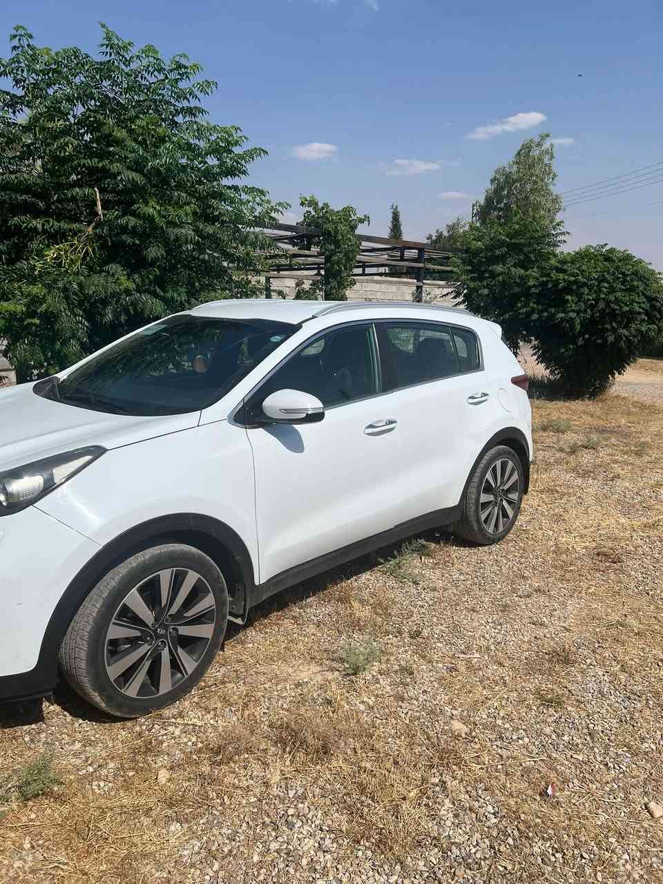 كيا سبورتج خليجي بيه صبخ ربع الباب عكس السايق وبارد بالجاملغ وبارد بالبنيد فقط وموضح كدامك بالسونار سياره حلوه ونظيفه داخلهه حلوو جوزي ماشيه 115 كيلو قابل للزياده  مبينه مواصفات السياره ومعروفه السياره احلا من الصور بعد 
رايدهه 178 ورقه 
مكان السياره اليرموك 
للاستفسار ***********
