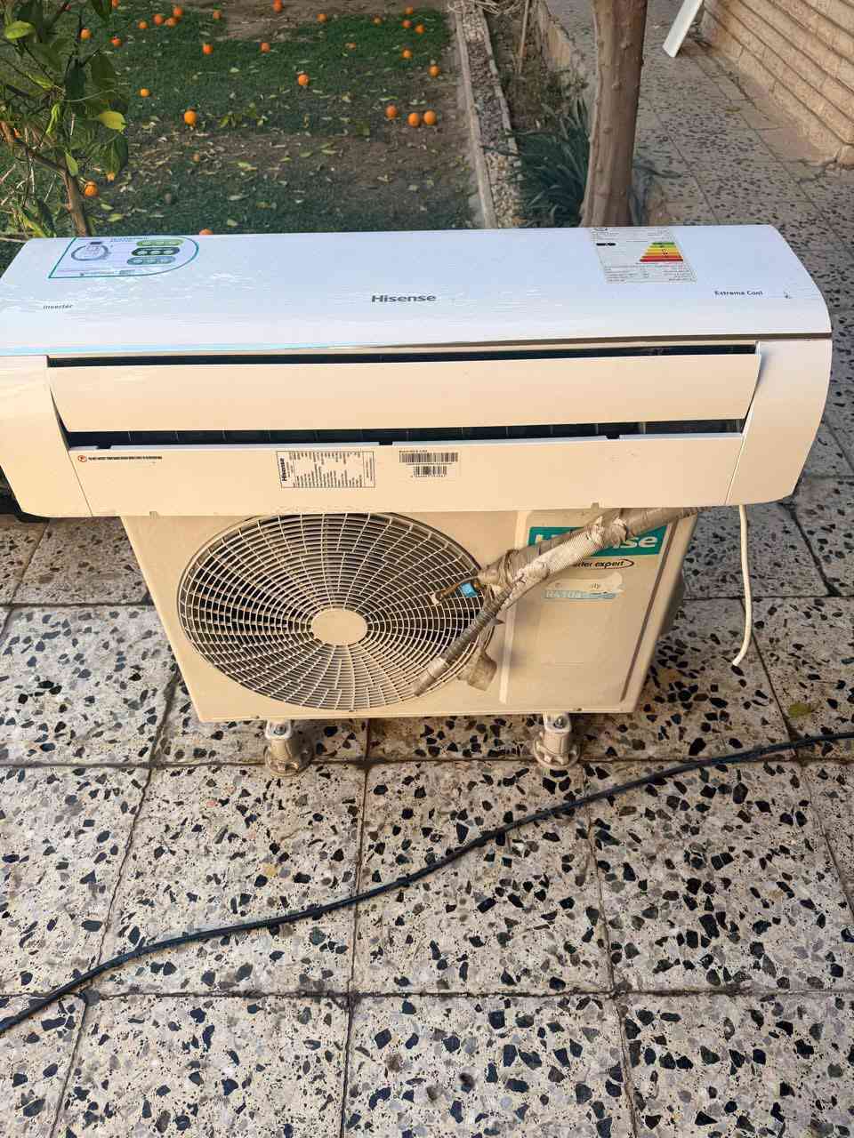 ***********علي العجيلي
