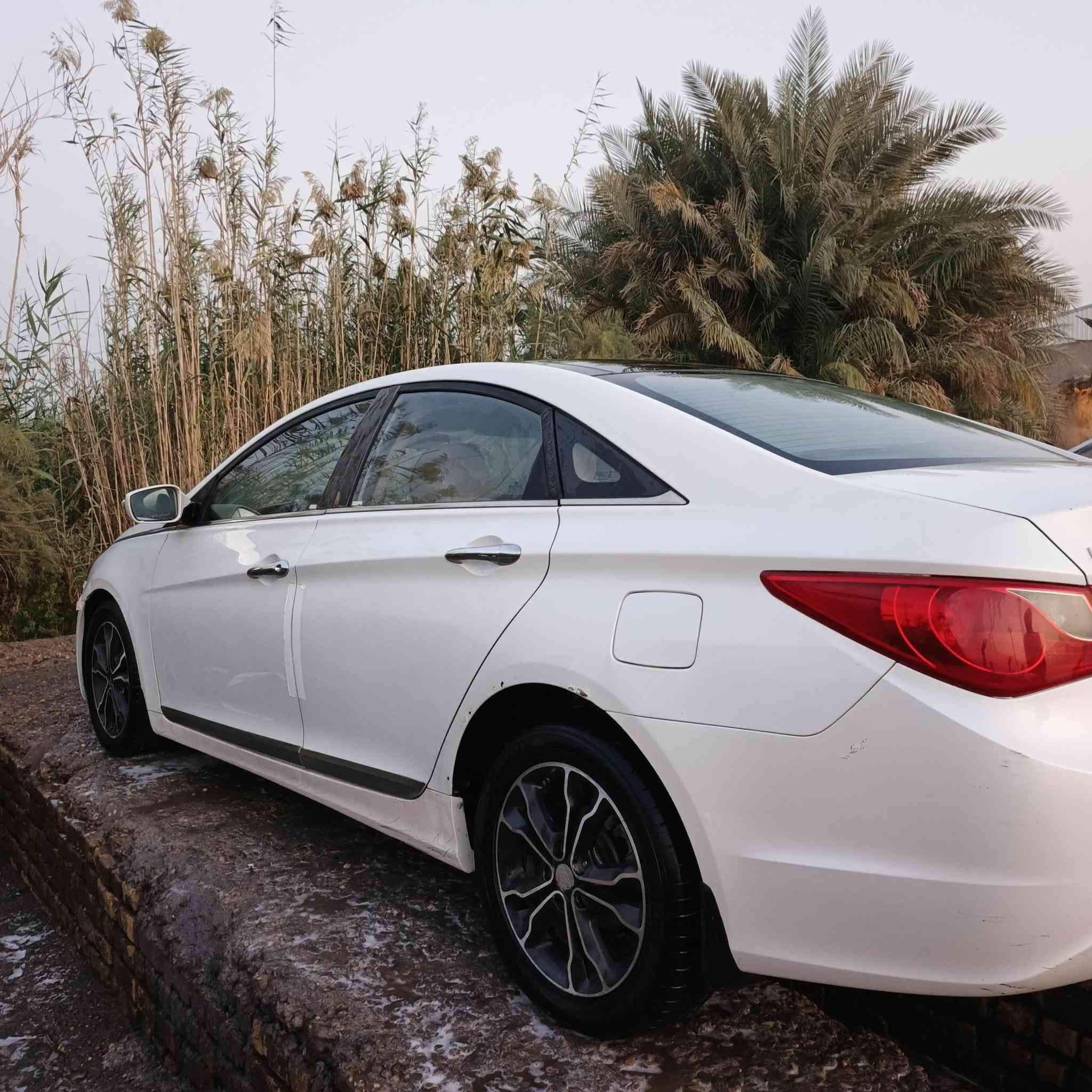 للبيع أو مراوس بأوبتيما موديل ٢٠ 
سوناتا خليجي للبيع موديل ١١ مكفولة بيها شخط بابين مصبوغ بأسمي سنوية لل ٢٨ رقم ميسان مشروع وطني ( رقم مميز) جاهزة السيارة فول عدا البصمة تبريد قطعتين ثلج 
حساسات خلفية بانوراما فتحتين اشارة بالمري لايت زنون 
مكاني ناصرية بالشطرة


**إذا كنت صاحب هذا الإعلان وتريد حذفه لأي سبب، رجاءا أرسل رسالة إلى الدعم الفني**