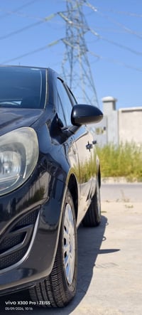 أوبل كورسا • ٢٠١٤ • أربيل