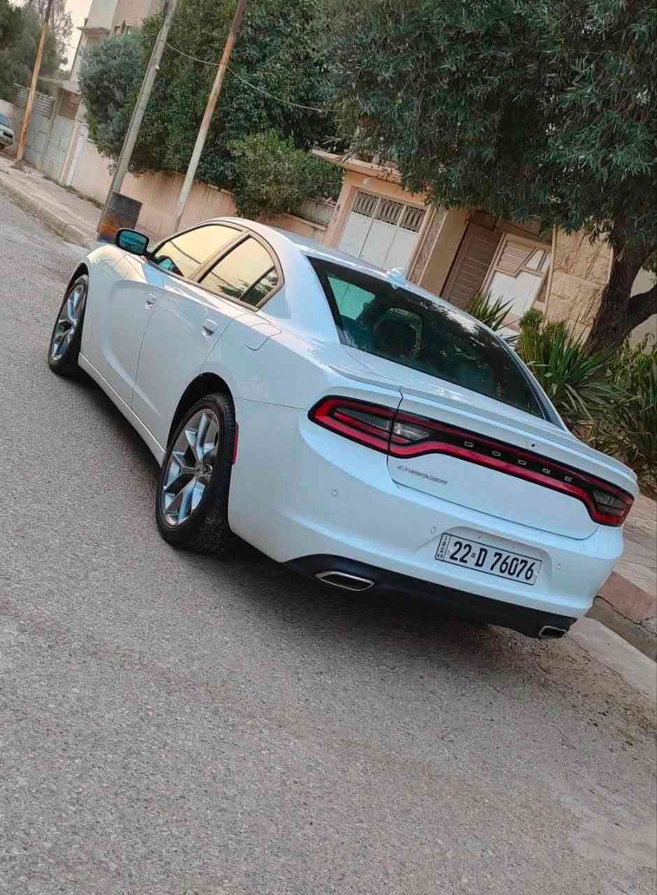 للبيع دوج جارجر 2020 sxt ✅

سعرها ادخل ع رابط https://t.me/carssofiraq/16582

رقم اربيل مميز 76076

ماشية : 40 الف ميل

حادث : جاملغ عكس السايق مبدل اصلي بدون صبغ
+ رصعتين بالباب معدل بارد ما تبين

رقم الشاصي مرفق بالمنشور 

المواصفات :

كشنات جلد تبريد و تدفئة مع تدفئة ستيرن 

تشغيل عن بعد 

لايتات لد LED

رادار بالمري 

عليها ويل عنكبوت gt اصلي 

دبل بصمة 

شاشة كبيرة اصلية 

تحكم الكشنات كهرباء مع تحكم ستيرن كهرباء 

وضعيتين قيادة ميموري 

عليها طخم تايرات جدد اصليات 

الموقع موصل / شرط التحويل 
للاستفسار :

*********** رقم تلفون 

.

🚗اعرض سيارتك ع اقوى قناة تلكرام و واتساب و صفحتي فيسبوك للبيع و شراء سيارات ادخل ع رابط 👈 https://t.me/carssofiraq
