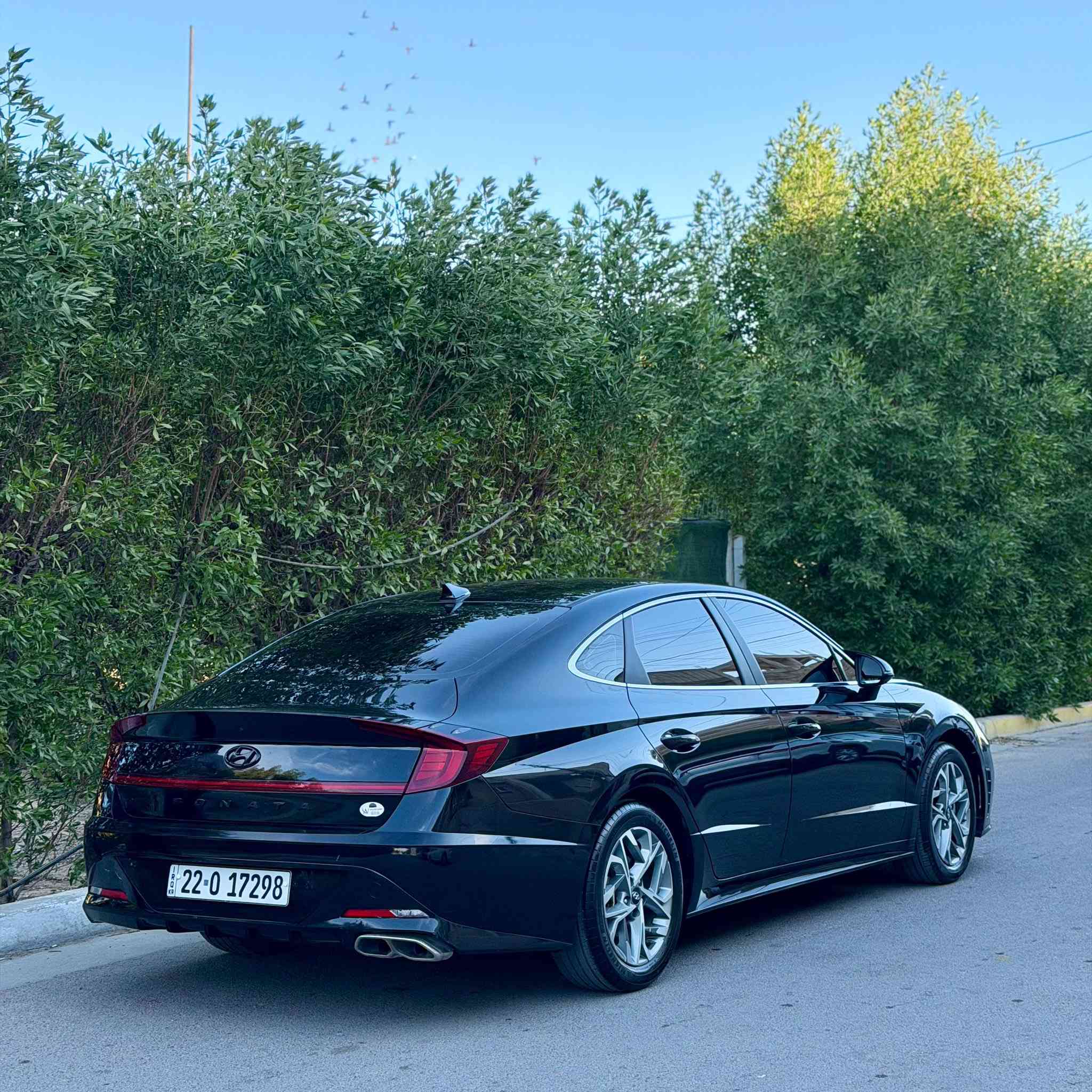 سلام عليكم سوناتا
موديل 23 رقم اربيل بسمي
تحويل ثاني يوم 
بيها حادث جاملغ وبنيد بدون دواخل 
مضلل بسنويه 80 بل 100 سياره فول عدا البانوراما
ماشيه 31 
بصمه تشغيل 
ترحيب 
لد امامي 
لد خلفي 
كشن كهرباء 
تشغيل عن بعد 
شاشه جبيره 
مود درايڤ
4 انظمه قياده 
سياره خير من الله وجاهزه مابيها نقص برغي
مكان سياره بغداد حي الجهاد  
للاستفسار 
***********
السعر 158وبيها مجال بسيط
