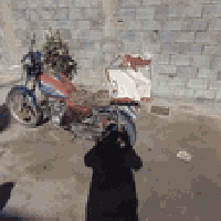 ٢٠١٢ • ٢٥٠ سي سي • اوراق اصولي