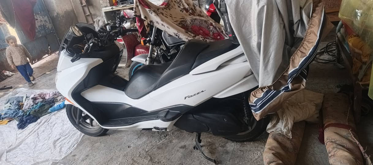 السلام عليكم 0 10 للبيع السعر 20 دراجه رامبه عنواني ميسان العماره انا وكيلها دراجهه او مراوس ما متواجد في الفيس لا اقرا ولا اكتب او مخابره او واتساب***********
