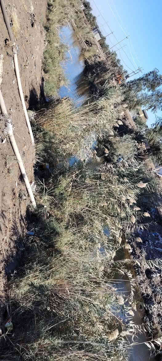 سلام عليكم قطعه ارض للبيع مساحته ما يقارب 1700متر يوجد فيها ماء وكهرباء وتبليط المكان خلف جامعه بابل بل هميسانه الثانيه نوع الارض (اصلاح زراعي) اكاتبك مكاتبه خارجه اتكفل اب اي شي ***********
