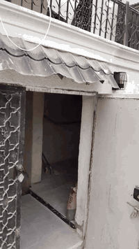 بفضل الله ابو محمد المصري ***********
