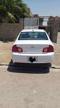 ماليبو امريكي • ٢٠١١ • كركوك