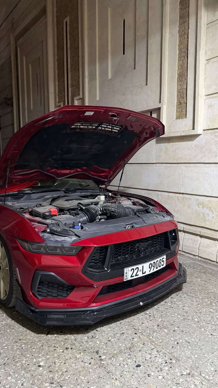 ⁨ ⁨ ⁨ ⁨ ⁨ ⁨ Ford Mustang GT 2024 Black Edition
الموديل 2024 
المحرك V8 / 5000
الگير أوتوماتيك كير عشر نمر 10 Speed
الممشى 12 الف ميل 
اللون ماروني - كرزيةة
الحالة او الضرر - جاملغ خلفي قطعه وحده صبغ حادثها حلو وسياره بجمها كبس كله شركه وراجعه شركة بيد قحطان الصفار  شرط زلخه مابيها السياره 💯☑️

الـمـواصـفات 

تشغيل عن بعد + فصله السيارة من البصمة تفصل
فجوج برمبو 6 بستم
فلنجات كبار 
كشنات جلد و تدفئة تبريد
شاشه منفصله
ترحيب ابواب
ترحيب بصمة
كشنات كهرباء 
ترحيب كامل عند الاقتراب من السيارة
هاند بريك دكمة
مثبت سرعة
قيادة ذاتي
راداار امامي
رادار جانبي 
رادار خلفي 
منبه اصطدام خلفي امامي 
لايت زنون 
سستم صوت.  8 سمعات 
وباقي المواصفات معروفة الفول

- سقف، مرايات جانبية، وشعارات أسود من الوكالة 

الاضـافـات 

- دبات Borla ATAK أصلية (400$) 
- ويلات + تخم تايرات جدد (1000$) 
- بوابات تشغيل صباحي (150$) 
- برمجة سيفتي يم إيكل (400$) 
- داون بايب (150$) – حجراته موجودة 
- جناح (100$) 
- لحية أمامية (100$) 
- صبغ ويل + فج (150$)
- لدات جانبيه (50$)
- ارضيات طلب خاص امامي (100$)

السعر :  345 ورقه بيه مجال 
الموقع بغداد العامرية شارع المنظمة 📍
الاتصال والواتساب صاحب سياره 
***********
*********** 

رابط الواتساب المباشر للمراسله 👇🏻♻️🔰 
https://wa.me/9647805100351⁩⁩⁩⁩⁩⁩
