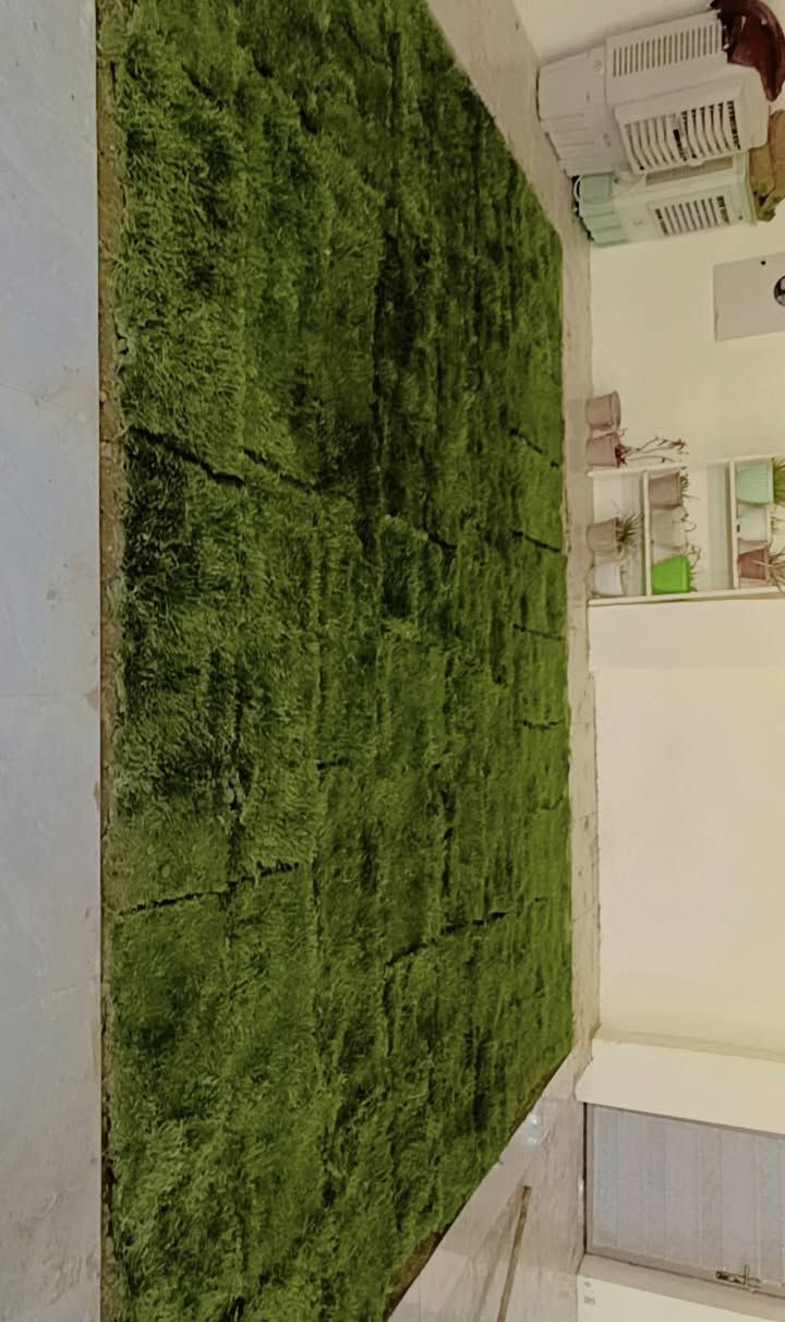 السلام عليكم اشتقل جميع الحدائق والبساتين  وتنظيف الحدائق من الدغل وتقليم الأشجار  وقص الحدائق بل مكينه عل نمره وحدة وقص الأشجار الكبار  كادر متميز وسريع وبأسعارمناسبه  إتصل رقم الهاتف‏‪***********‬‏/والرزق على الله
