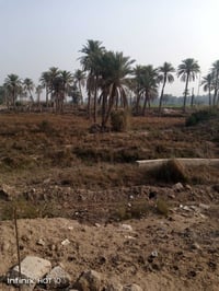 أرض تجارية • ٨٥٠م • مهناوية الحرية