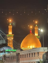 اللهم صل على محمد وال محمد  تعلن حمله الزهراء للزيارات        يوم الثل...