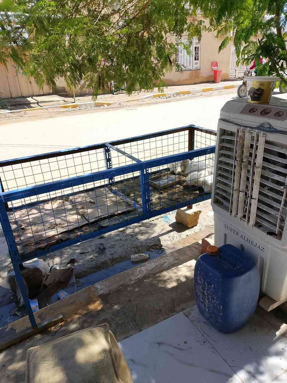 غراض دجاج للبيع ***********
