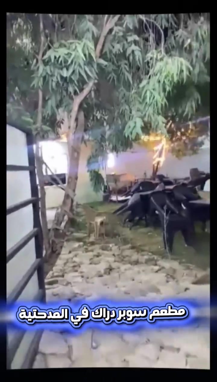 مطعم سوبر دراك 🍔🔥
يقدم ألذ وأطيب الأكلات الغربية، مع بركر مدخن على الفحم لأول مرة في المدحتية 🍖🔥، بالإضافة إلى البيتزا وجميع أصناف المأكولات الغربية 🍕🍟
🚚 خدمة توصيل لجميع المناطق
📍 العنوان: المدحتية – شارع 60 – مجاور النادي الرياضي
📞 للحجز والطلبات: ***********
🎉 ملاحظة: إعلان مجاني لأهالي المدحتية لمدة 3 أيام فقط، اغتنموا الفرصة الآن!
