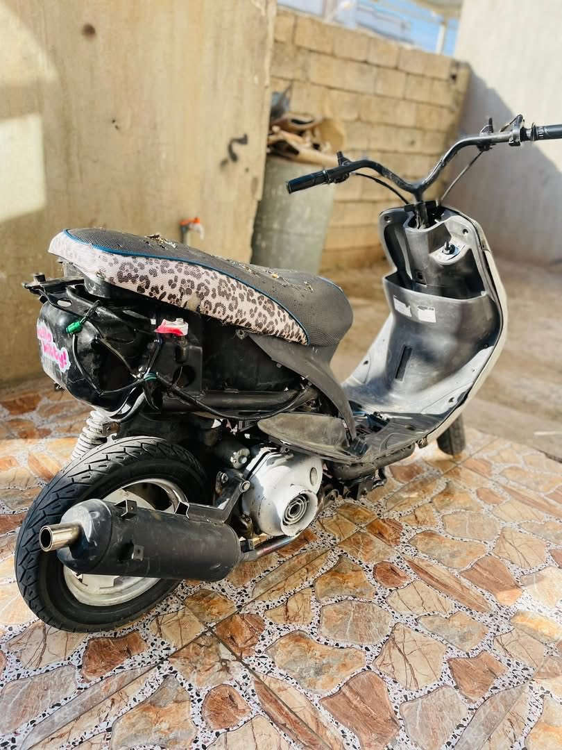 ماكس منغولي لل بيع . بوشه 55 .صالنصه fm .ماعنده كهربائيات  دارجه شلعه و معدل . سعر 340 بي مجال . او . مراوسه


**إذا كنت صاحب هذا الإعلان وتريد حذفه لأي سبب، رجاءا أرسل رسالة إلى الدعم الفني**