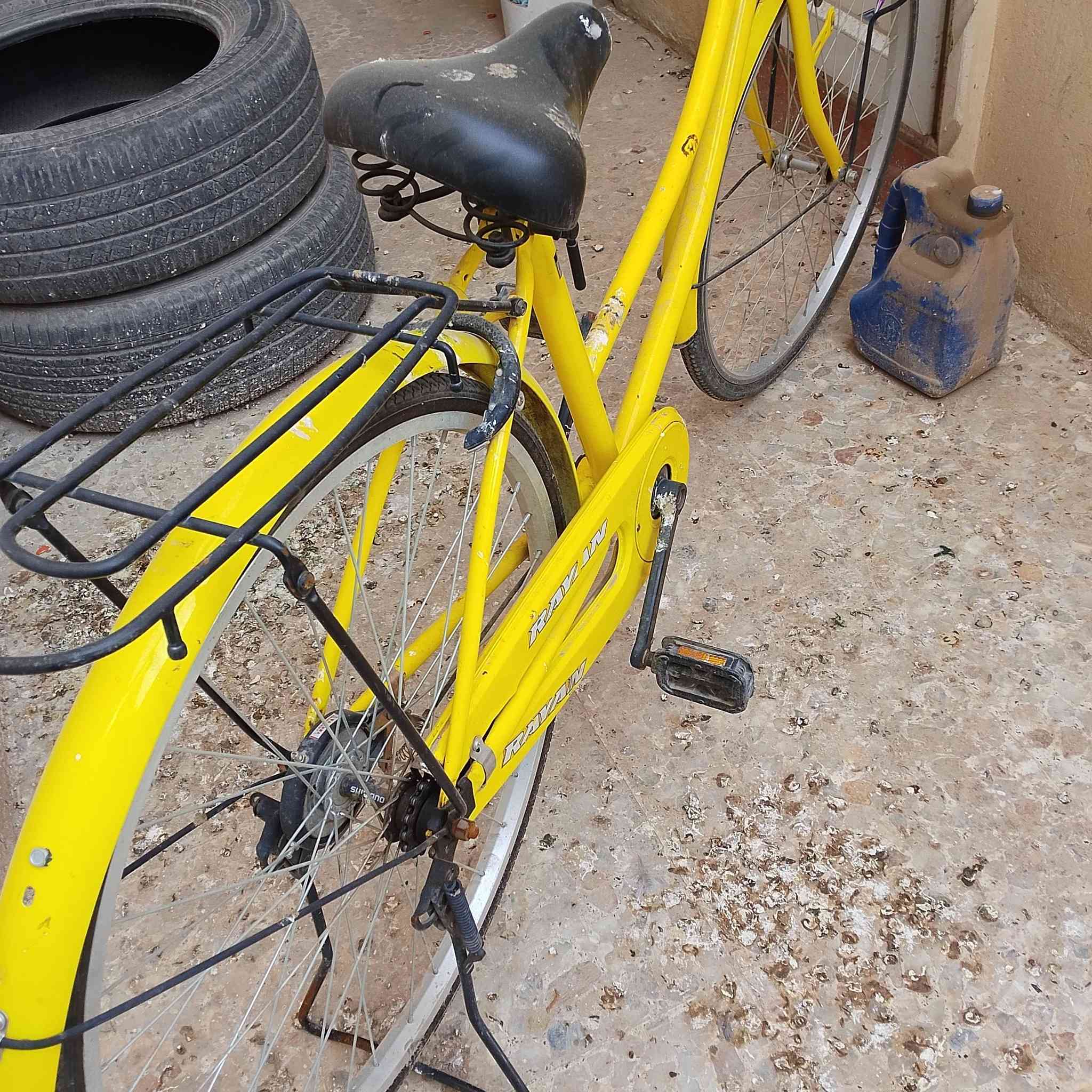 باسكل للبيع السعر 65وبي مجال مكاني نجف حي الجامعه 🫡


**إذا كنت صاحب هذا الإعلان وتريد حذفه لأي سبب، رجاءا أرسل رسالة إلى الدعم الفني**