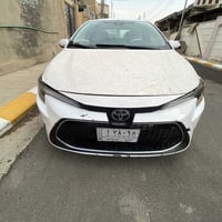 بانزين • ٢٠٢١ • ضرر بنيد