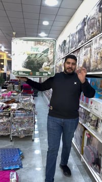 سرر • رخيص • الفرع الثاني