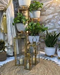 ❤️لكثرة الطلبات 🌹 🪴يتوفر لدينا جميع اكسسوارات نباتات وسنادين بلاستك نو...