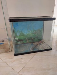 احواض سمك • حوض مستطيل • حوض مربع اغراضه