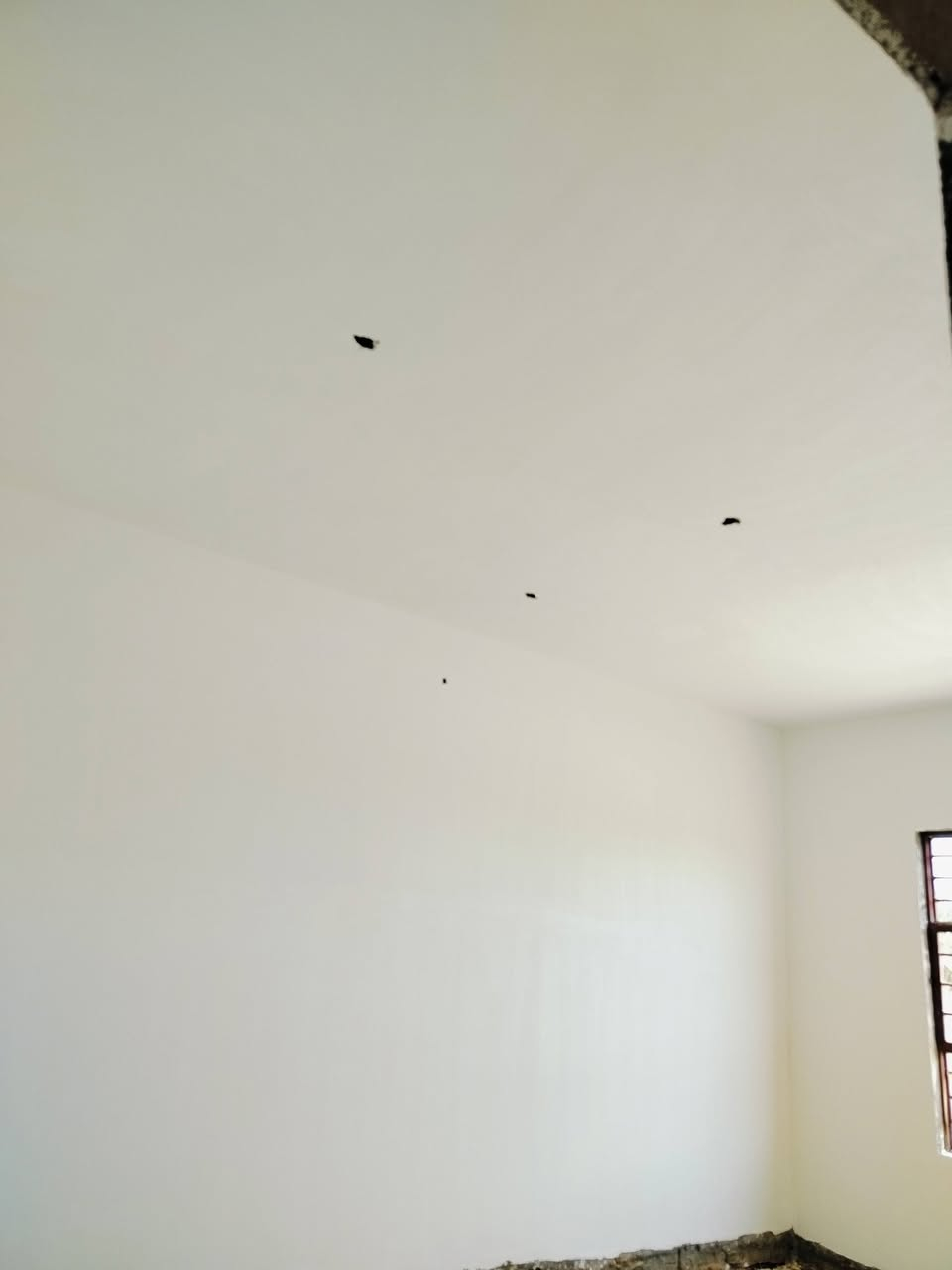 خلفه لبخ مخمر وجص بل يوميه او عل متر ناصريه ***********وتساب
