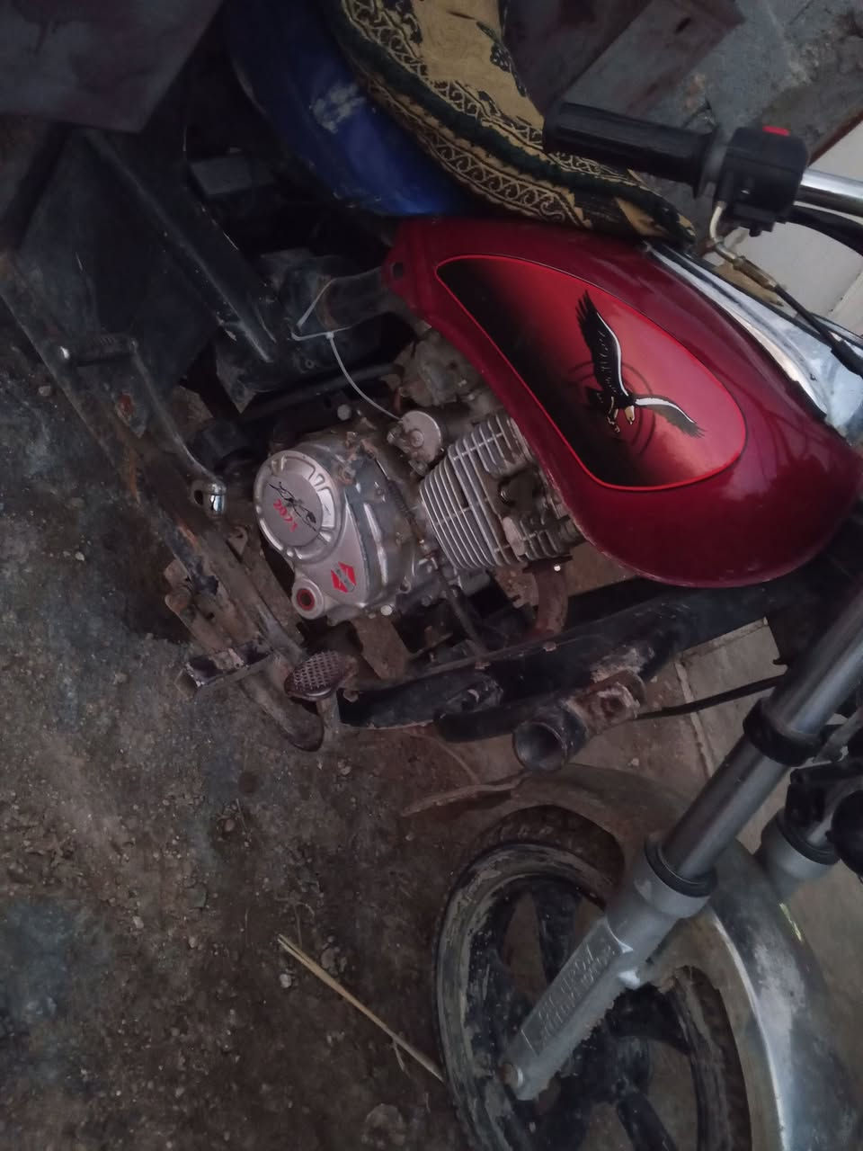 سلام عليكم ستوته للبيع مرقمه رقم وسنويه كهربائيات كلها شغاله مكاني فريحه قرب جامعه كربلاء الي يحب يتصل عله هذه رقم ***********
