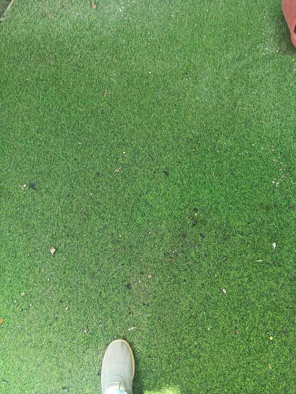 غراض روضة للبيع
للاستفسار خاص


**إذا كنت صاحب هذا الإعلان وتريد حذفه لأي سبب، رجاءا أرسل رسالة إلى الدعم الفني**