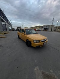 ڤيرنا ٢٠١٤ • بغداد الشعب • باسمي