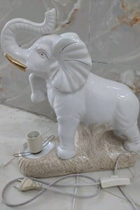 تحفة فيل • ناصريه مركز