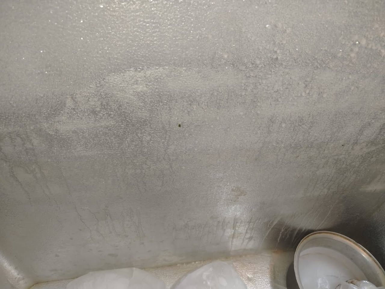 مجمدة للبيع حجم كبير السعر مع القاعده 170 بي مجال


**إذا كنت صاحب هذا الإعلان وتريد حذفه لأي سبب، رجاءا أرسل رسالة إلى الدعم الفني**