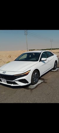 النترا امريكي • ٢٠٢٤ • رقم بصره