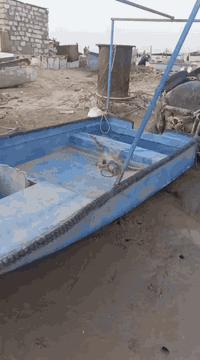 السلام عليكم بلم فايبر 7.5م للبيع رايده750
والطراد للبيع 4.80م رايده 350الف

للتواصل ***********

***********
