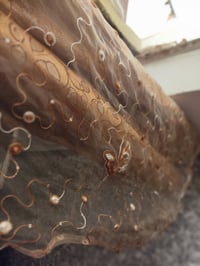 أغراض • منزلية • ديكور