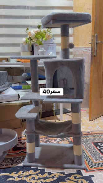 الحجز واتساب***********
