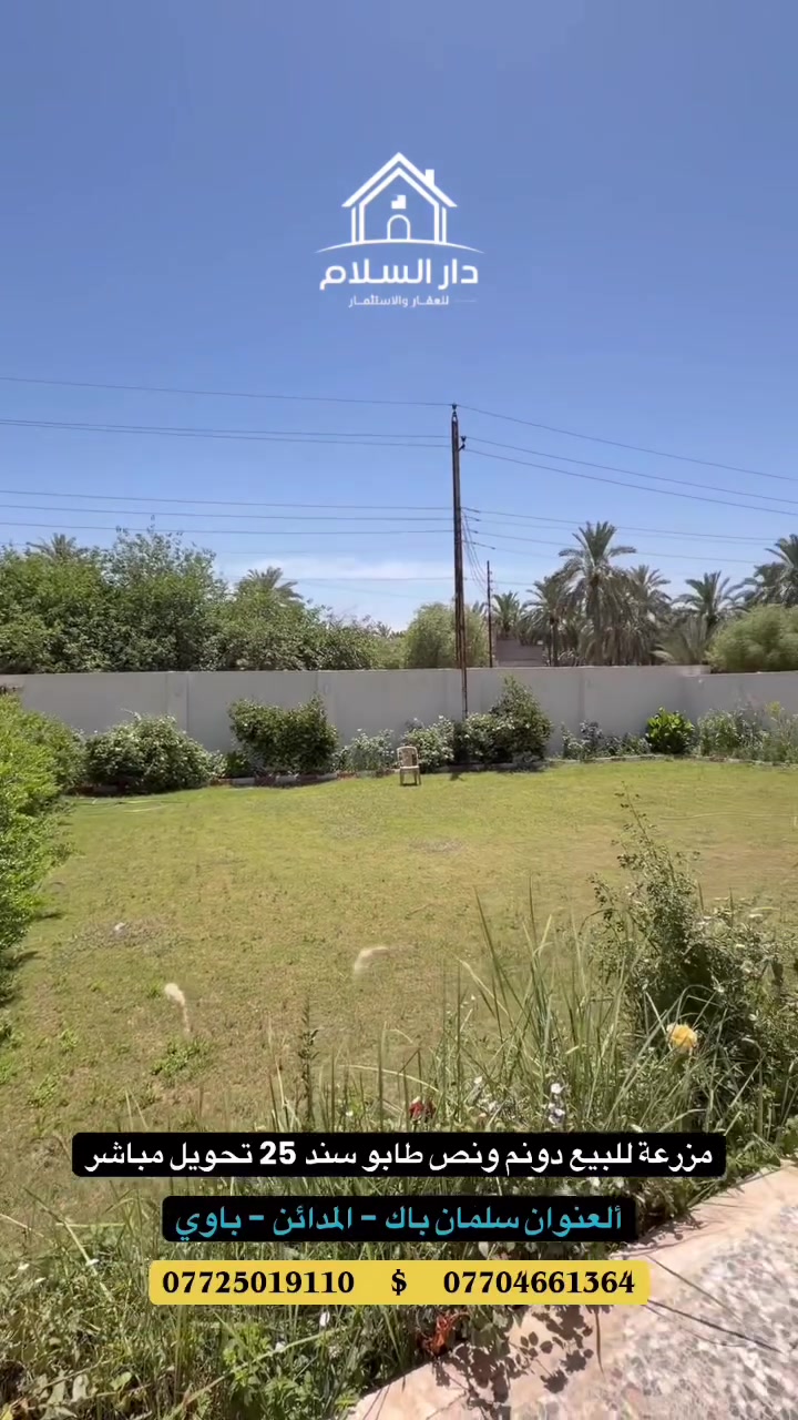 ⁨ السلام عليكم مزرعه للبيع مساحه دونم ونص طابو سند ٢٥ تحويل مباشر  العنوان بغداد المدائن سلمان باك باوي  *********** /***********  شركه دار السلام اللعقار #بيع_و_شراء_الدور_و_الاراضي_السكنيه_و_الصناعيه #جميع__معاملات_لعقار_بغداد_و_المدائن #طابوصرف #قطعة_ارض_زراعية #العقارت_الاستثمارية⁩
