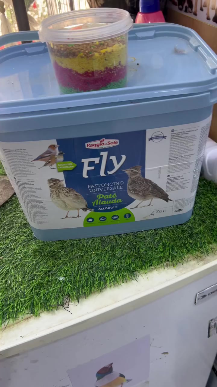 من اجود انواع الباتيات 
من شركة Fly
‏ لفائدة المربي جمعنا جميع أنواع الباتيات في علبة واحدة لفائدة المربي ومراعاة الدخل المادي 
‏هذه الباتيات حيث تحتوي على مجموعة من العناصر المهمة ومفيدة الذي يحتاجها الطير من فيتامينات أحماض أمنية وعناصر مهمة مثل الزنك والحديد البوتاسيوم_ الكالسيوم 
‏والعديد من العناصر والفيتامينات  E-B-D-C ￼ وأيضاً الباتيه  الحمراء وفوائدها لتحفيز الكبد والنمو كريات الدم البيضاء
‏ وباتية الحشرات حيث تحتوي على بروتين عالي  وعلى خصوبة الطائر وتكوين عضلات قوية وبنيه قوية ذات مناعة يواجه فيها الأمراض
‏كل هذا متوفر لدى معرض السومري
📍 العنوان الناصرية قضاء الرفاعي حي العمال شارع الجنسية للحجز والاستفسار مراسلة الصفح
***********￼ يوجد خدمة توصيل لجميع المحافظات￼
