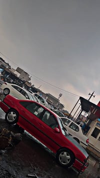 فيكترا • ١٩٩١ • أربيل