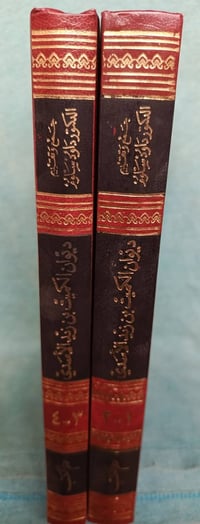 شعر الكميت بن زيد • د داود سلوم • ٤ أجزاء