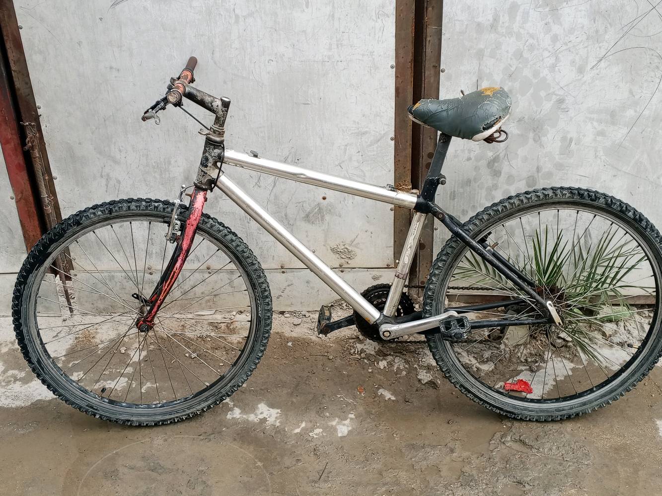 العنوان الزعفرانيه امانت الله البايسكل نضيف 