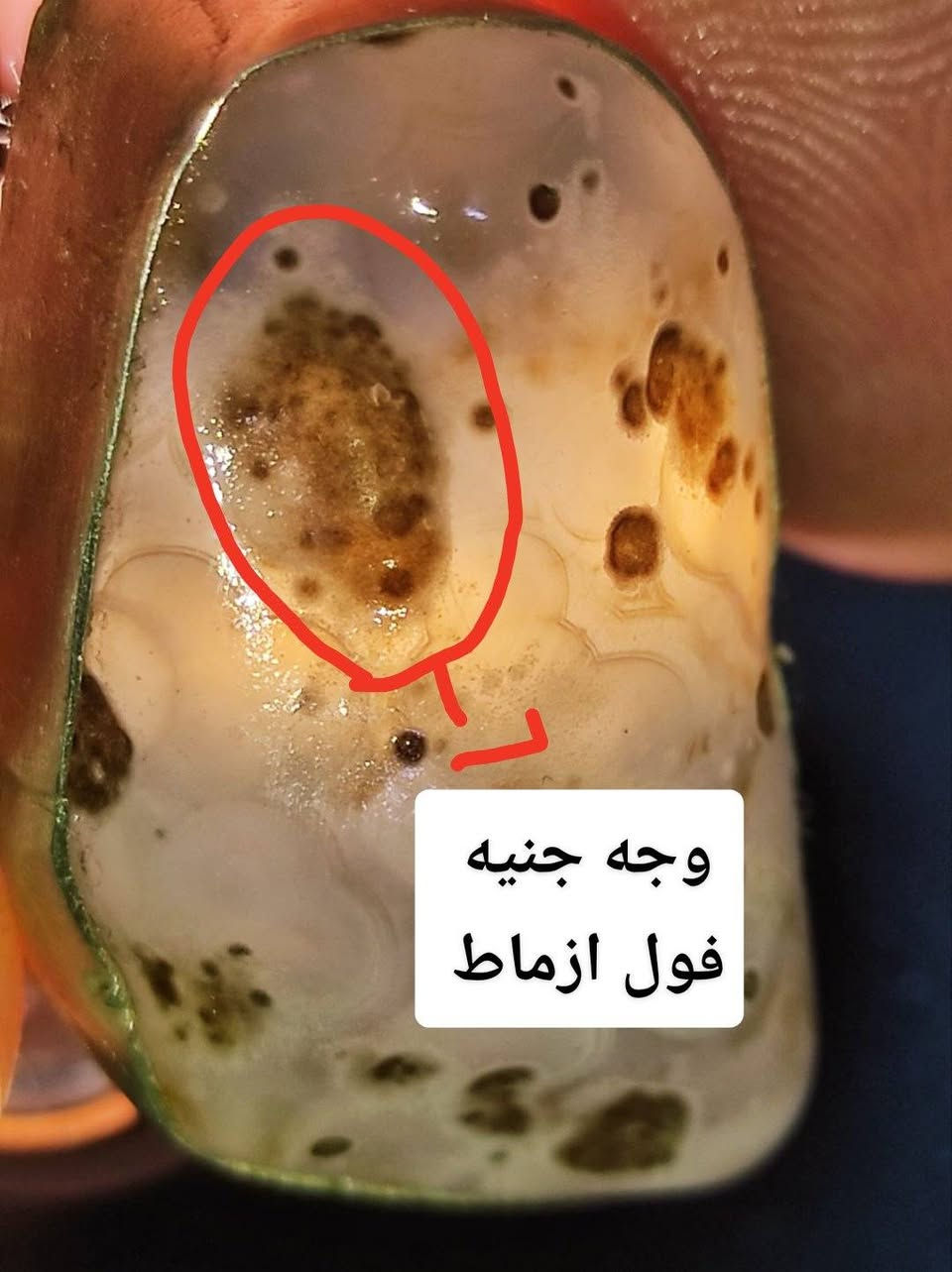 بسم الله 
الوحش الخام 
مصوره وجه جنيه فوللل ازماط 
حجره vip شرط خام مامجروخ 
كامل للحمل مجرب فول محبه 
فول عقد لسان منجم ومبخبر 
فضه عراقي يدوي ٩٢٥ 
٣٥ الف جوه سعر الفضه ابيع 
***********واتساب
