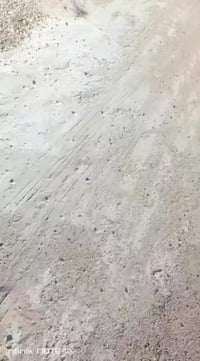 تعليم سياقة • كادر رجالي ونسائي • مكتب المحمودية