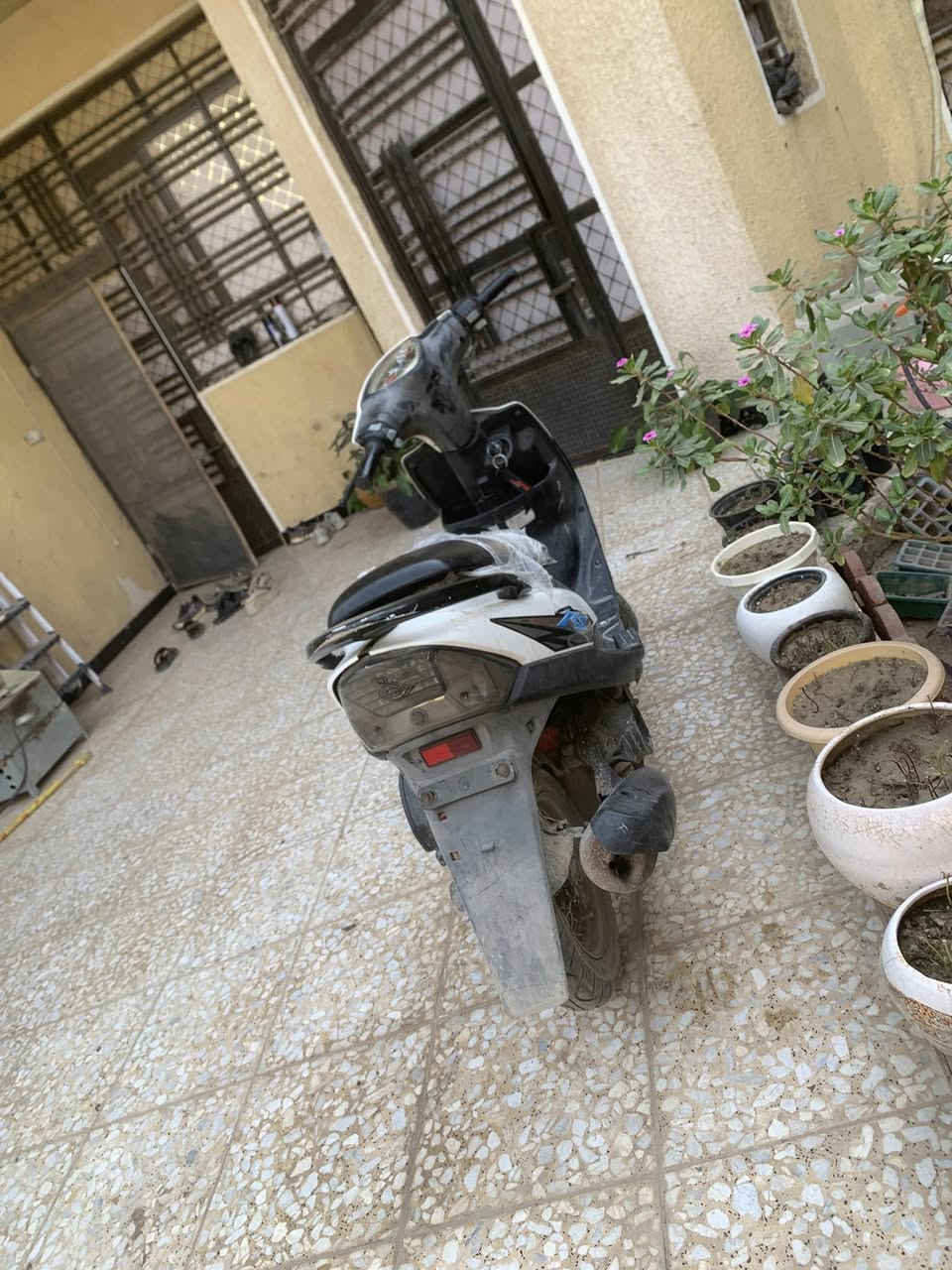 سلام عليكم من رخصت الادمن المحترم دراجه ماكس عدله دراجه شغاله نقصه سلف ونهدر انكسر الهندر وما سويته دراجه كهربائيات كله شغاله اشاير هورن لايت بك لايت كله شغال السعر ٥٠٠وبيه مجال للشراي مكاني بغداد سبع قصور رقم *********** بي واتساب خابر وبخدمتك
