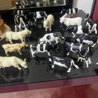 للبيع • بغداد