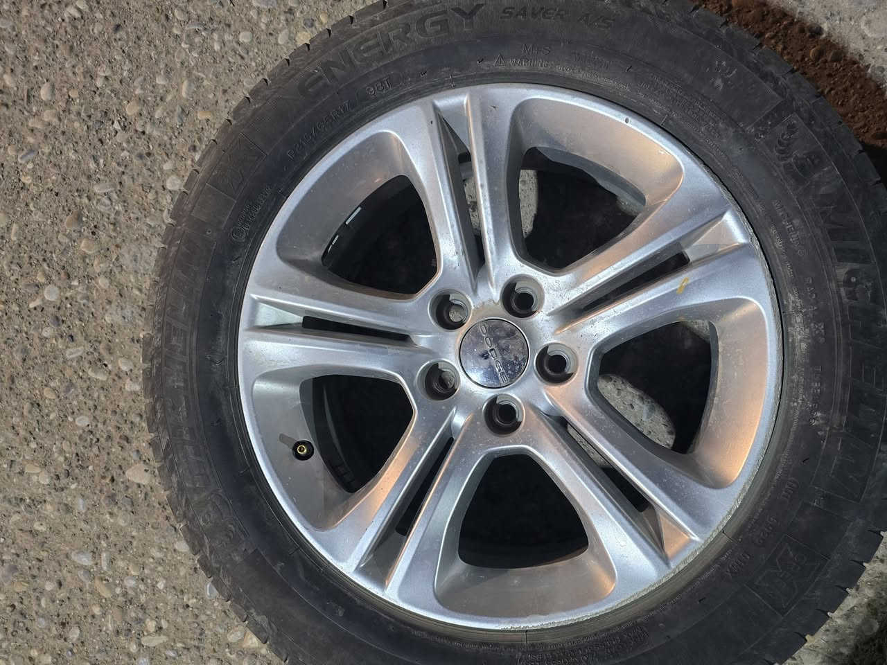 تخم ويل 17 مع تخم تاير مشلن انتاج 22 الويل مكفول من الفطر لحيم عواج السعر 300 الف قفل ***********
