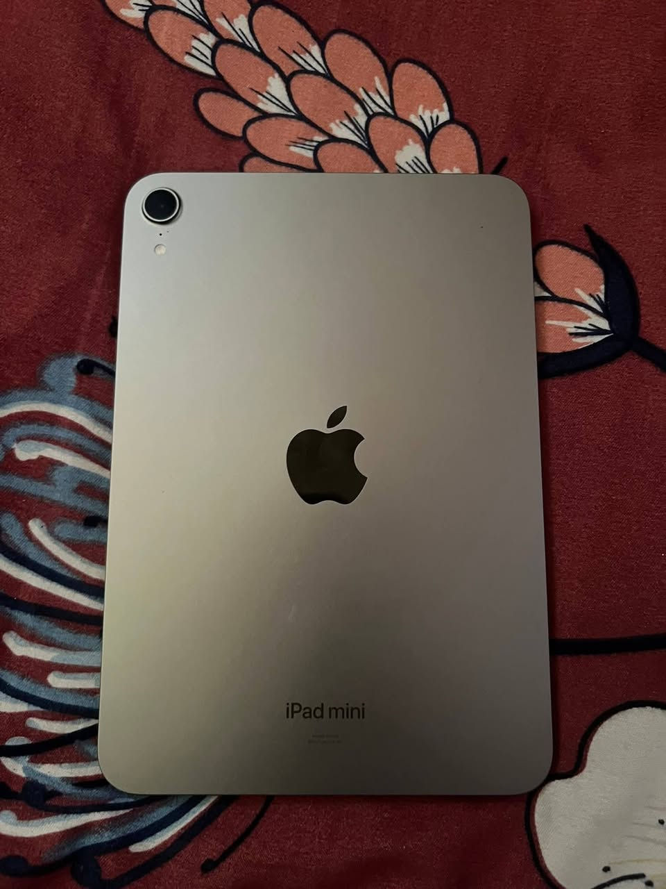 عندي آيفون ١٢ شرط مامفتوح بطارية ٨٥ ضد الماء مراوس ايباد اريد


**إذا كنت صاحب هذا الإعلان وتريد حذفه لأي سبب، رجاءا أرسل رسالة إلى الدعم الفني**