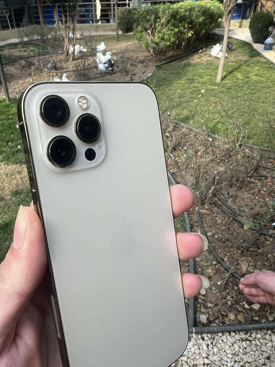 12 Pro Max
12 pro max 256g 1sim battery(79) Hichy nagorawa w nakrawatawa Ba Zamany Hamu Shte Basharty Fa7s w Hawa w kompitar S3ry 280$ ***********
