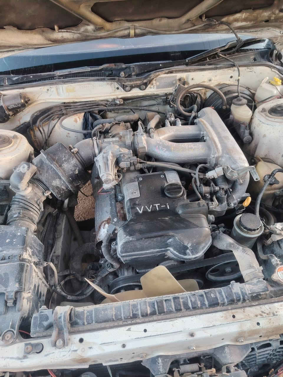 السلام عليكم مارك عظم للبيع 
مديل 1990
رقم واسط راعيها بغداد يريد مداور
السعر 35 قفل والي مو شراي لا يخابر ويتعب
رقم الهاتف *********** المكان المشخاب الحسانيه
عليها غرامه 300 ع مشتري
